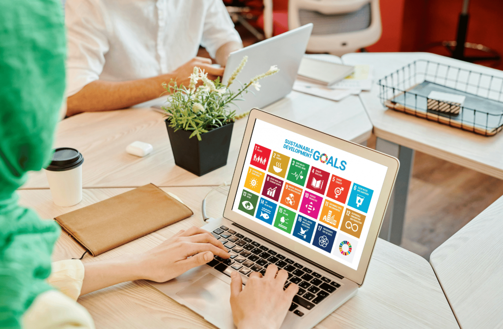 SDG Goals Overview