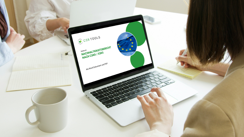 VSME Bericht Beispiele im Vergleich: Unsere 7 Learnings | CSR Tools